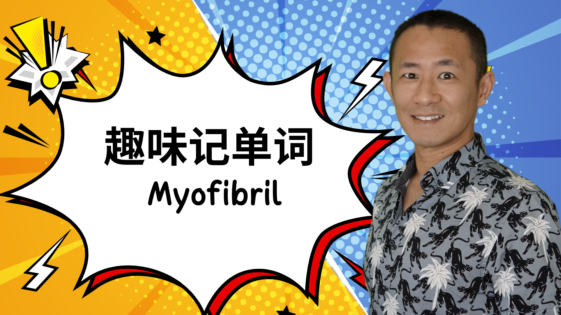 掌握按摩师术语:Myofibril(肌原纤维)轻松记忆法