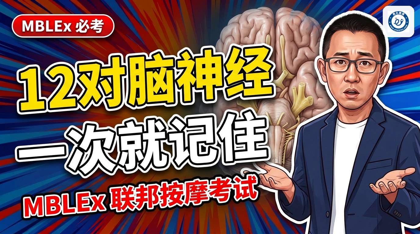 MBLEx 考点解析｜如何快速记住12对脑神经？
