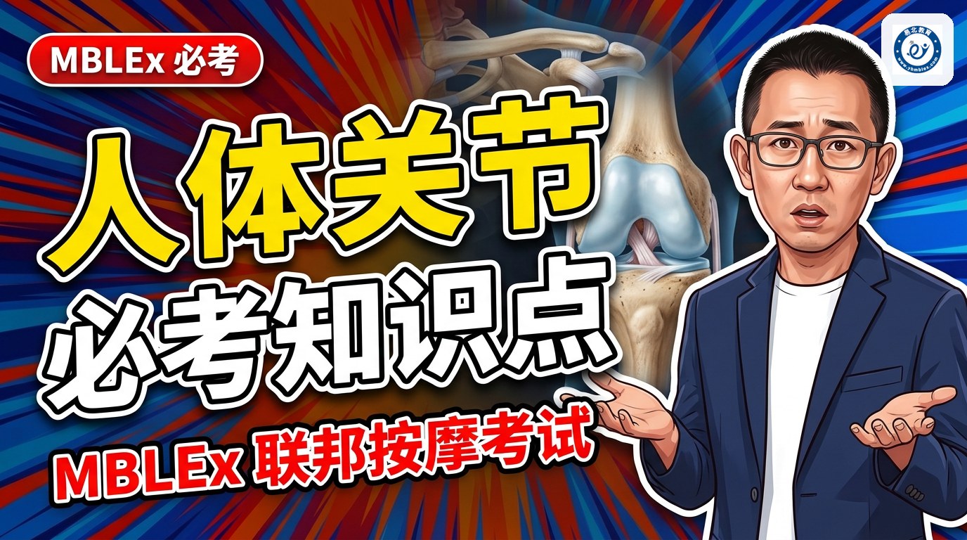 【 MBLEx 联邦按摩考试】必考知识点之《人体关节》