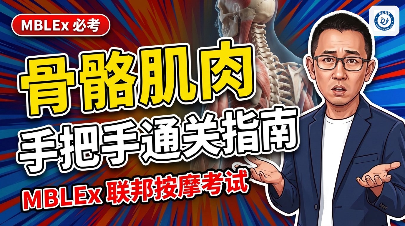 MBLEx 手把手通关指南之《人体骨骼、肌肉与关节》｜易北教育