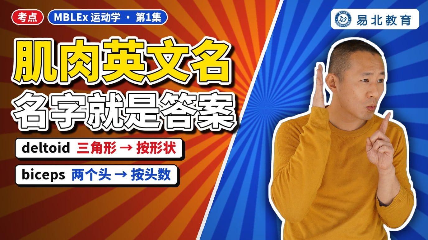 封面：张老师竖起手指，标题「肌肉英文名 名字就是答案」，deltoid 三角形按形状、biceps 两个头按头数
