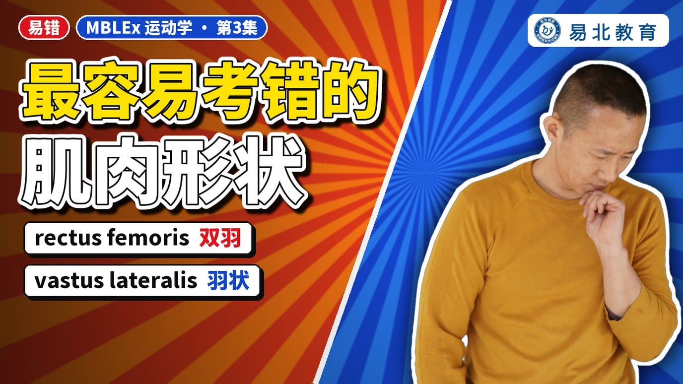 封面：张老师，标题「最容易考错的肌肉形状」，下方 rectus femoris 双羽、vastus lateralis 羽状