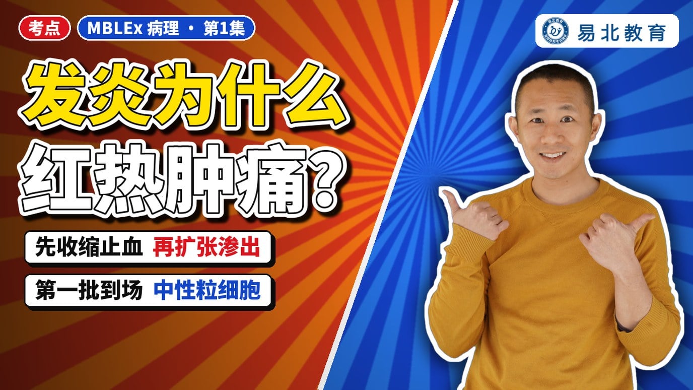 封面:张老师双手比赞,标题「发炎为什么红热肿痛?」,副标「先收缩止血 再扩张渗出」「第一批到场 中性粒细胞」