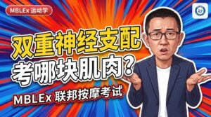 随意肌和不随意肌怎么分？膈肌为什么叫「双重神经支配」，考试怎么答