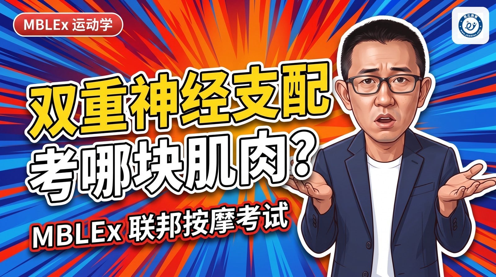 张老师讲解：哪块肌肉是双重神经支配，MBLEx 运动学考点