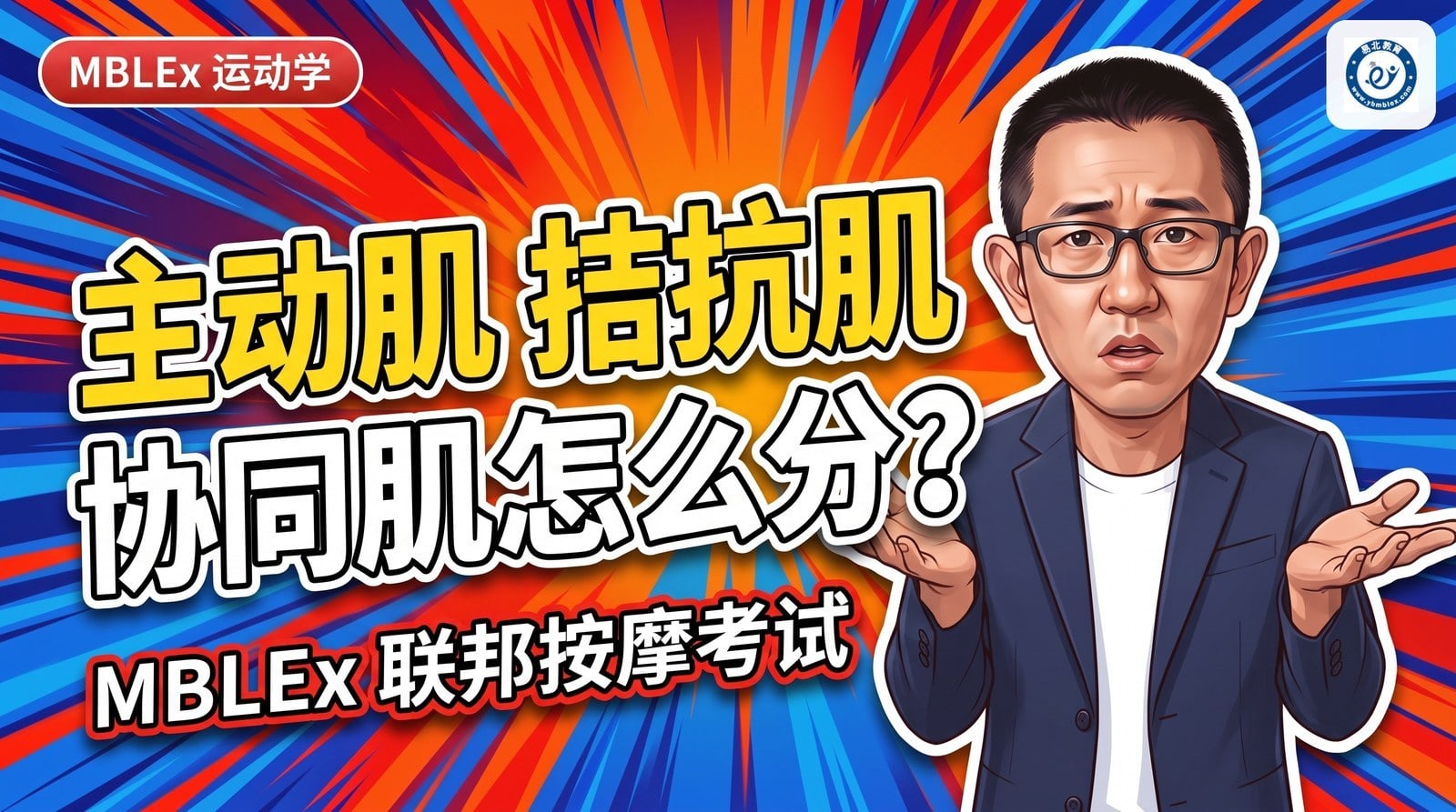 张老师讲解：主动肌、拮抗肌、协同肌怎么分，MBLEx 运动学考点
